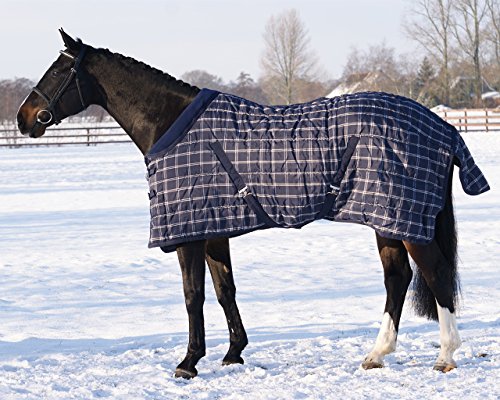 QHP Stalldecke 300 g Füllung Stripe Fleecekragen Kreuzg. Schweiflatz Winter 2017 (110 cm, Blau Kariert) von QHP