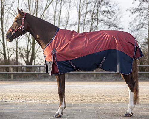 QHP Turnoutdecke Collection 50gr wasserdicht (155 cm, Saddlery) von QHP