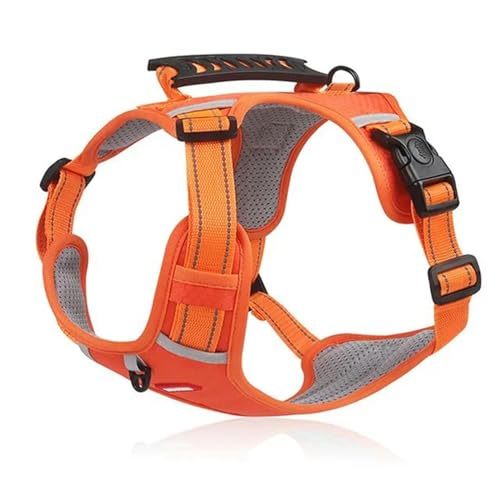 QIANDW Hundegeschirr, reflektierend, atmungsaktiv, verstellbar, Haustierweste für Outdoor-Spaziergänge, Orange, Größe L für 10 - 30 kg von QIANDW