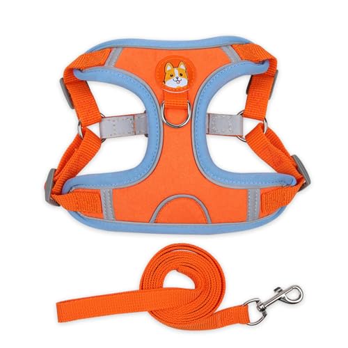 QIANDW Hundegeschirr, reflektierend, für kleine Hunde, Wildleder, Orange, Größe XL von QIANDW