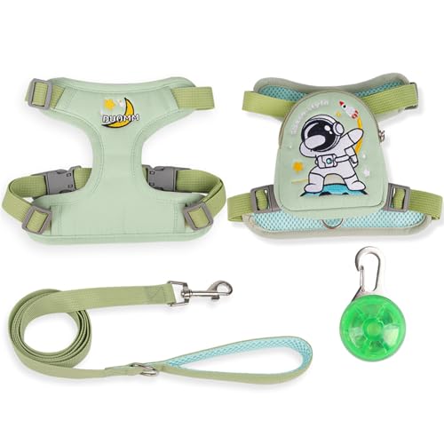 QIANDW Hunderucksack mit Geschirr, Hundeweste, Rucksack, Cartoon-Hundeschultasche, Outdoor-Reise, kleine Schultasche, abnehmbar, grün + LED-Licht, Größe L von QIANDW