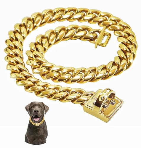 Hundehalsband für Hunde, robuster Edelstahl, silber/gold, kubanische Gliederkette, Spaziergangstraining, Design, sichere Schnalle, kaufest, geeignet für Welpen und mittelgroße / große Hunde (35,6 cm, von QICHENMAO