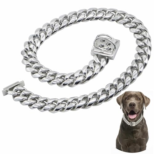 Hundehalsband für Hunde, robuster Edelstahl, silberfarben/gold, kubanische Gliederkette, Spaziergangstraining, Design, sichere Schnalle, kaufest, geeignet für Welpen und mittelgroße / große Hunde von QICHENMAO