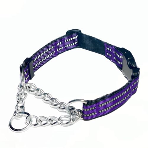 QICHENMAO Martingale Halsbänder für Hunde, robustes Edelstahl-Ketten-Trainingshalsband, reflektierendes Nylon, verstellbares Halsband mit Schnellverschluss-Schnalle, geeignet für Welpen, mittelgroße von QICHENMAO