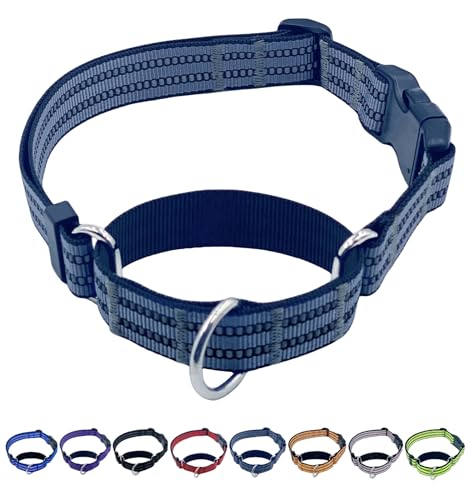 QICHENMAO Martingale Hundehalsbänder mit Schnellverschluss-Schnalle, strapazierfähiges, reflektierendes Nylon, kein Ziehen, Spazierengehen, Trainingshalsband für große, mittelgroße und kleine Hunde von QICHENMAO