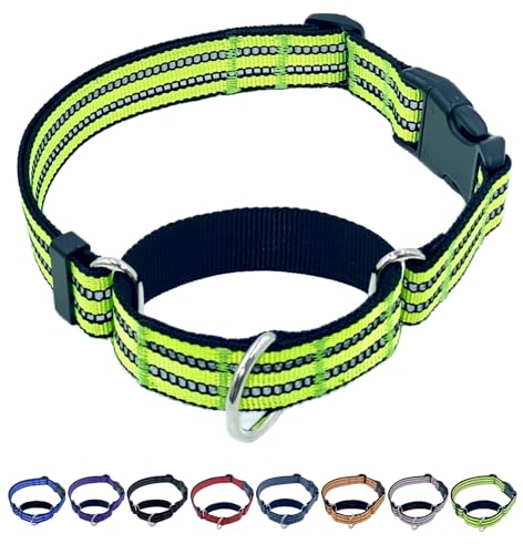 QICHENMAO Martingale Hundehalsbänder mit Schnellverschluss-Schnalle, strapazierfähiges, reflektierendes Nylon, kein Ziehen, Spazierengehen, Trainingshalsband für große, mittelgroße und kleine Hunde von QICHENMAO