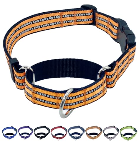 QICHENMAO Martingale Hundehalsbänder mit Schnellverschluss-Schnalle, strapazierfähiges Nylon, reflektierend, kein Ziehen, Spazierengehen, Trainingshalsband für große, mittelgroße und kleine Hunde von QICHENMAO