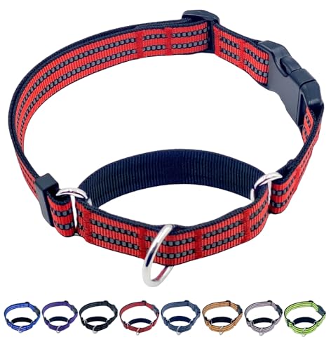 QICHENMAO Martingale Hundehalsbänder mit Schnellverschluss-Schnalle, strapazierfähiges Nylon, reflektierend, kein Ziehen, Spazierengehen, Trainingshalsband für große, mittelgroße und kleine Hunde von QICHENMAO