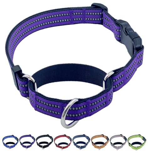 QICHENMAO Martingale Hundehalsbänder mit Schnellverschluss-Schnalle, strapazierfähiges Nylon, reflektierend, kein Ziehen, Spazierengehen, Trainingshalsband für große, mittelgroße und kleine Hunde von QICHENMAO