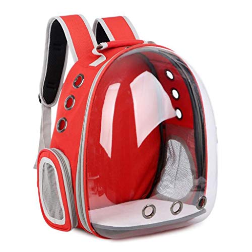 QIFFIY Hunderucksack Haustier-Rucksack Breathable bewegliche Haustier-Tragetasche im Freien Spielraum Welpen-Katze-Beutel Transparent Raum Haustier-Rucksack-Kapsel Hundetasche (Color : Red) von QIFFIY