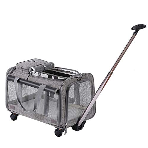 QIFFIY Hunderucksack Haustier-Rucksack Transparent Trolley-Tasche Tragbare Breathlüftungsnetztasche Reise Hund Katze Tragetasche Pet Trolley Hundetasche (Color : C) von QIFFIY