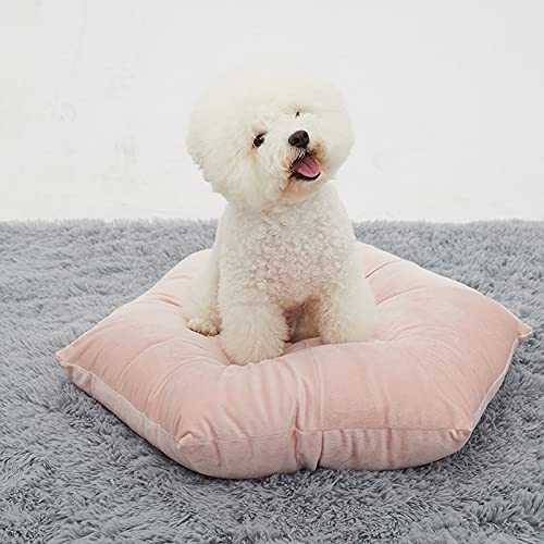 QIFFIY Katzenhaus Haustier Hund Bett Weiche Winterkatze Matte Welpenhaus for kleine mittlere Hund Warme Beste Samt Nest Sofa Katzenhöhle (Color : Pink, Größe : Small) von QIFFIY