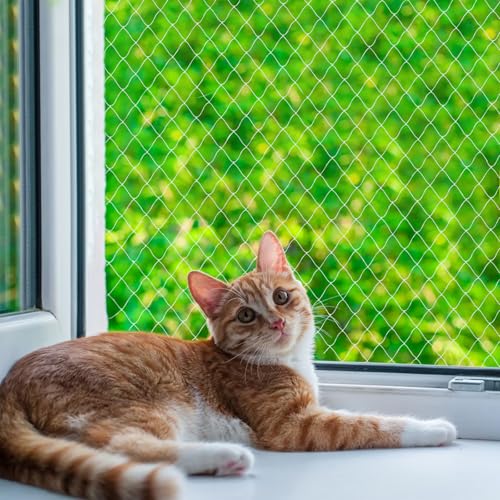 QILUCKY Nylon Katzenschutznetz Katzennetz für Balkon Transparent Können Zuschneidbar ​und Bissfest Balkonnetze für Katzen ​zur Absicherung von Terrasse, Fenster und Türen (3x3 m) von QILUCKY