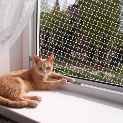 QILUCKY Polyesterfaser Katzenschutznetz Katzennetz für Balkon Können Zuschneidbar ​und Bissfest Balkonnetze für Katzen ​zur Absicherung von Terrasse, Fenster und Türen (3x6m) von QILUCKY