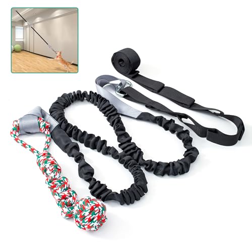 QINGFANGLI Outdoor Bungee Tug Toy,Dog Toy Hanging, Interactive Exercise Play Cord & Tether with Chew Rope Toy for Large Breed Puppy & Small Dog Adult (Black) von QINGFANGLI