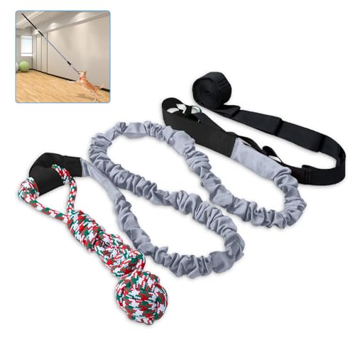 QINGFANGLI Outdoor Bungee Tug Toy,Dog Toy Hanging, Interactive Exercise Play Cord & Tether with Chew Rope Toy for Large Breed Puppy & Small Dog Adult (Gray) von QINGFANGLI