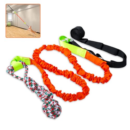 QINGFANGLI Outdoor Bungee Tug Toy,Dog Toy Hanging, Interactive Exercise Play Cord & Tether with Chew Rope Toy for Large Breed Puppy & Small Dog Adult (Orange) von QINGFANGLI