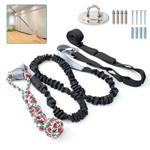 QINGFANGLI Outdoor Bungee Tug Toy,Dog Toy Hanging from Wall, Interactive Exercise Play Cord & Tether Chew Rope Toy for Large Breed Puppy & Small Dog adult with Fixed Disk for Wall (Black) von QINGFANGLI