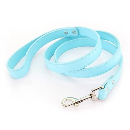 QIUMING 1 Stücke Hundeleine Soild Farbe Leder Pet Walking Training Führt Für Small Medium Large Hunde Katze Im Halsband Und Geschirr 120 cm von QIUMING