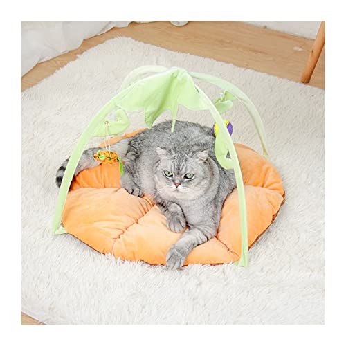 QIUYMGFG Hundebett Katzenzeltspielzeug Hängespielzeug Haustiere Spielbettspielzeug Katzenspielmatte Decke Haus Abnehmbare Kätzchenzelte Katzenbett(Pumpkin) von QIUYMGFG