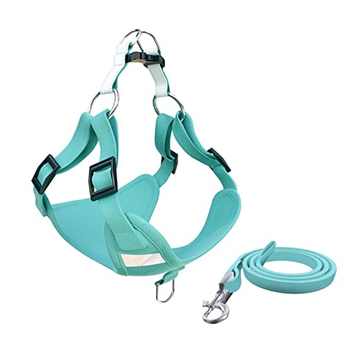 QIUYMGFG Hundeleine Verstellbare Führleine Hundegeschirr, Welpenhalsband, Brustweste, Leine, Haustier-Brustbandgeschirr, Kette für kleine Hunde(Green,XXS (2-4kg)) von QIUYMGFG