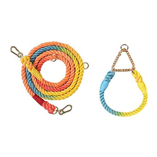 QIUYMGFG Hundeleine Verstellbare Führleine Hundeleine für mittelgroße Hunde, Leinen, Haustiertraining, Laufen, Klettern, Hundeleinen, Hundeseile(Rainbow-Golden,30-38cm) von QIUYMGFG