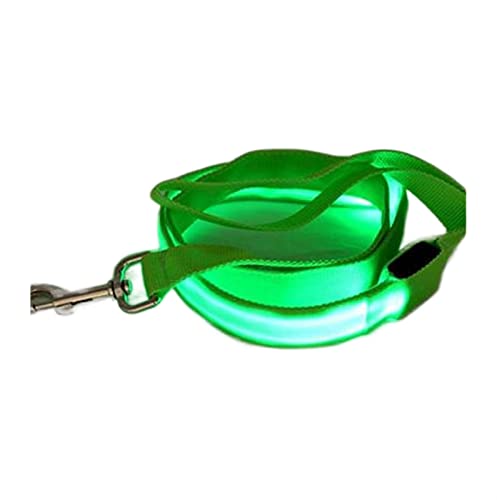 QIUYMGFG Hundeleine Verstellbare Führleine Nylon Light Up Hundeleine Nachtsicherheit Hundehalsband Heimtierbedarf Katze Zeichnen Kleine Leine(Green,Width 20mm) von QIUYMGFG