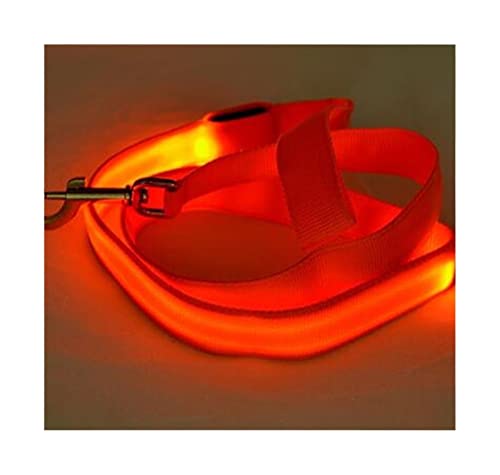 QIUYMGFG Hundeleine Verstellbare Führleine Nylon Light Up Hundeleine Nachtsicherheit Hundehalsband Heimtierbedarf Katze Zeichnen Kleine Leine(Orange,Width 20mm) von QIUYMGFG