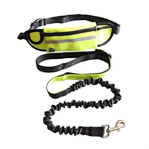 QIUYMGFG Hundeleine Verstellbare Führleine Pet Pocket Running Zweiteilige Traktionsseilleine Hund Katze Running Walking Training(Green) von QIUYMGFG