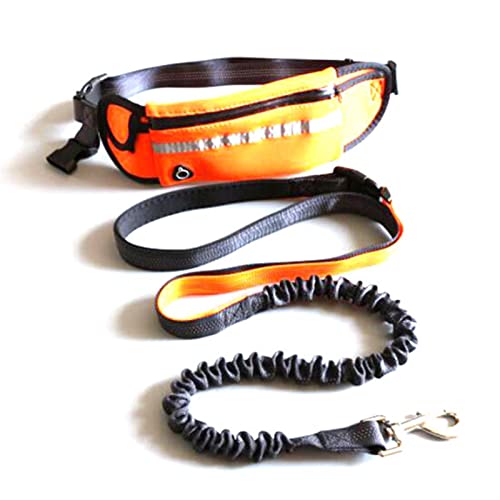 QIUYMGFG Hundeleine Verstellbare Führleine Pet Pocket Running Zweiteilige Traktionsseilleine Hund Katze Running Walking Training(Orange) von QIUYMGFG