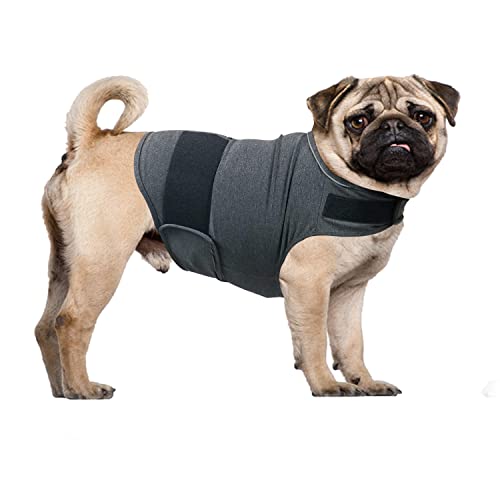 QIYADIN Hundemantel zur Linderung von Angstzuständen, atmungsaktiv, Donner-Shirts für Hunde, Hundeweste, Jacke für Angst, Welpen, beruhigende Weste von QIYADIN