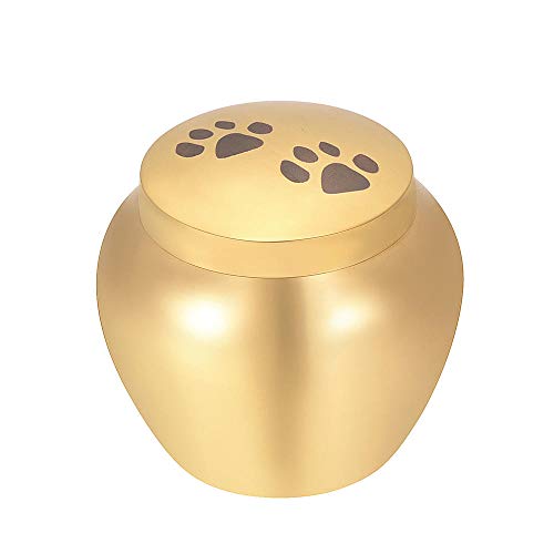 QJZM Ceniz de CenizasDog/Cat Paw Print Edelstahl Urnen für Asche für Haustier Andenken Memorial Schmuck Begräbnis Mini Sarg - 50mm hoch von QJZM