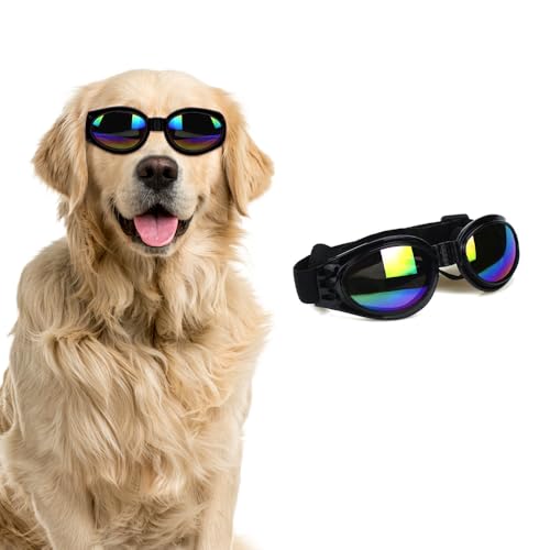 QKEPCY Hundebrille UV Schutzbrille Wasserdicht Winddicht Einstellbar Sonnenbrille Hund Haustier Sonnenbrille Mode Schutzbrille für Große Mittelgroße und Kleine Hundebrille(Schwarz) von QKEPCY