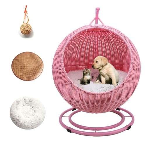 QLXYYFC Katzen-Hängemattenbett, Freistehendes Schlafendes Hunde-/Haustierbett, Katzenschaukelbett mit Gewaschener Baumwollmatte und Lustigem Katzenspielzeug für Schlafen und Spielen Von Kätzchen (Col von QLXYYFC