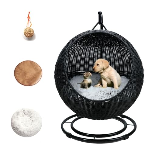 QLXYYFC Katzenschaukelbett, Abnehmbares Tragbares Haustierbett für Den Innen- und Außenbereich, mit Abnehmbarem Kissen und Hängendem Ball, für Katzen und Kleine Hunde für Schlafen und Spielen (Color von QLXYYFC