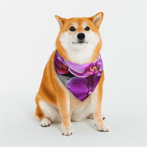 Hundehalstuch, violette Orchidee, verstellbare Haustierhalstücher für Hunde, Weihnachten, Haustier-Schal, Dreieck-Lätzchen, Halstuch, weich, atmungsaktiv, Welpen-Bandana für kleine, mittelgroße und von QMNEHJ