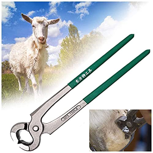 QMZDXH Hufzange, Hufmesser Für Pferde, 13" Professional Horses Huftrimmwerkzeuge Horse Equine Metal Shears, Geeignet Für Die Reparatur Von Tierhufen Hufpflege Für Pferde von QMZDXH