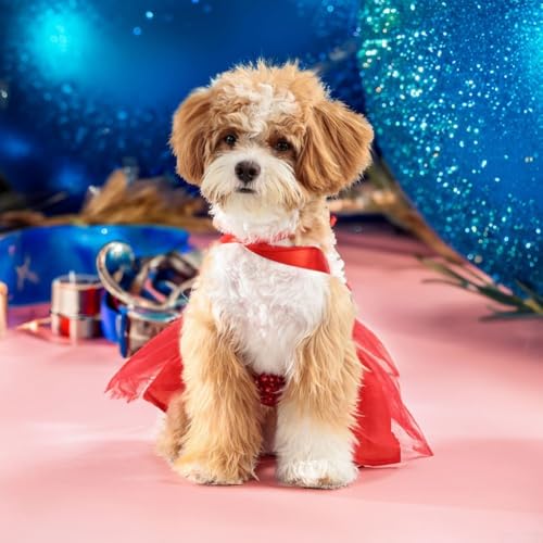 Festliches Hunde- und Katzenkleid für Weihnachten, Cosplay, weiches Baumwoll-Outfit, perfekt für Neujahrsfeiern (S) von QOXEZY