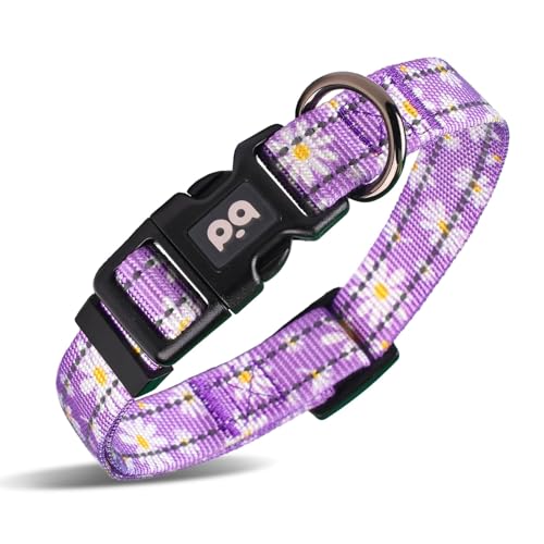 Hundehalsband, niedliche Blume, reflektierend, verstellbar, für Mädchen, Damen, kleine, mittelgroße und große Hunde, zum Spazierengehen, Laufen (M, Violett) von QQPETS