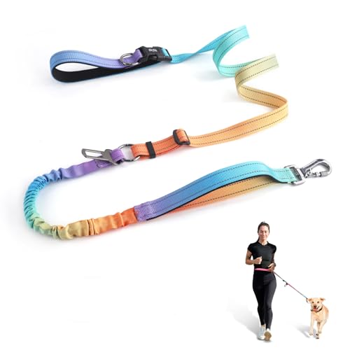 Hundeleine, verstellbar, strapazierfähig, Bungee-Hüftgurt für mittelgroße und große Hunde, zum Spazierengehen, Laufen, Wandern, reflektierend, Blau / Orange von QQPETS