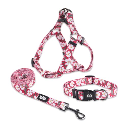 QQPETS Hundegeschirr, Halsband, Leine, kein Ziehen, verstellbarer Rückenclip, Halfter für Haustiere, strapazierfähig, 1,5 m, Anti-Verdreh-Leine für extra kleine Welpen, mittelgroße und große Rassen, von QQPETS