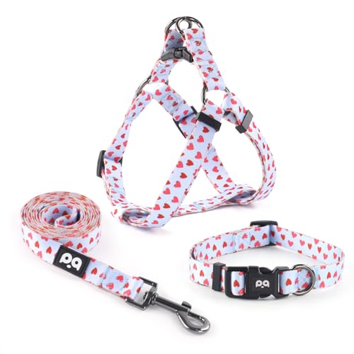 QQPETS Hundegeschirr, Halsband, Leine, kein Ziehen, verstellbarer Rückenclip, Halfter für Haustiere, strapazierfähig, 1,5 m, Anti-Verdreh-Leine für extra kleine Welpen, mittelgroße und große Rassen, von QQPETS