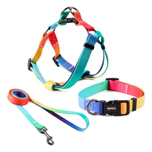 QQPETS Hundegeschirr, Halsband, Leine, kein Ziehen, verstellbarer Rückenclip, Halfter für Haustiere, strapazierfähig, 1,5 m, verdrehsicher, für extra kleine Welpen, mittelgroße und große Rassen, von QQPETS