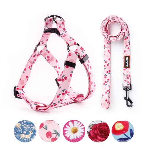 QQPETS Hundegeschirr-Set mit Leine, verstellbar, strapazierfähig, kein Ziehen, Halfter für kleine, mittelgroße und große Rassen, mit Clip, Größe M (48.3 - 66 cm Brustumfang), Sakura Pink von QQPETS