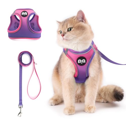 QQPETS Katzengeschirr und Leine, Set zum Spazierengehen, ausbruchsicher, sicher, verstellbar, mit reflektierenden Streifen, einfache Kontrolle, weiches Netzgewebe, leichte Jacke von QQPETS