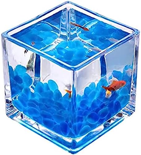 Desktop-Aquarium, quadratisch, transparentes Glas, Mini-Büro, Zuhause, Kampffischbecken, kreative Zierfische, kleines Aquarium, Wasserpflanzenbecken, Aquarium-Fischschalen, 9,9 cm von QQWanWan