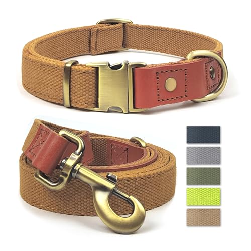 Qianruida Hundehalsband und Leine, Nylon, langlebig, verstellbar mit solidem Verschluss, bequem und langlebig, ideal für Spaziergänge, Training und Sicherheit im Freien, Khaki, L von QRD QIANRUIDA