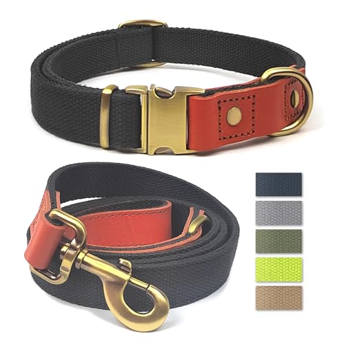 Qianruida Hundehalsband und Leine, Nylon, strapazierfähig, verstellbar mit sicherem Verschluss, bequem und langlebig, ideal für Spaziergänge, Training und Sicherheit im Freien, Blau - Schwarz, L von QRD QIANRUIDA