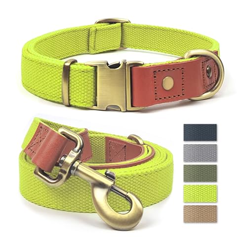 Qianruida Hundehalsband und Leine, Nylon, strapazierfähig, verstellbar mit sicherem Verschluss, bequem und langlebig, ideal für Spaziergänge, Training und Outdoor, fluoreszierendes Gelb, Größe XL von QRD QIANRUIDA