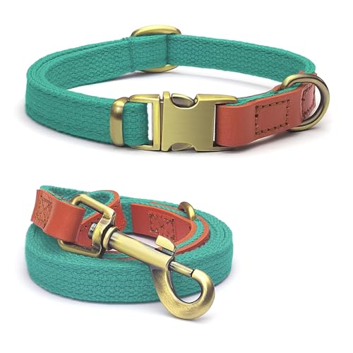 Qianruida Hundehalsband und Leine, Set, taktisches Halsband, Leine, Set Hundeleine und Halsband, verstellbares Hundehalsband mit Hundeleine, Hundehalsband für kleine, mittelgroße und große Hunde, von QRD QIANRUIDA